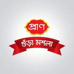 Pran Masala