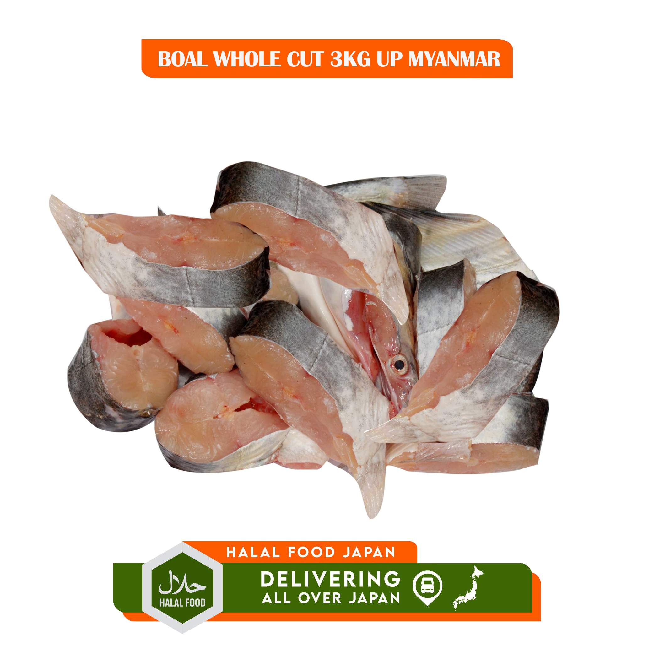BOAL WHOLE CUT 3KG UP MYANMAR